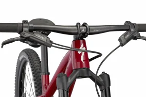 Riprock Expert 24<Specialized Clearance