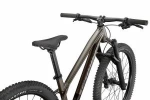 Riprock Expert 24<Specialized Clearance