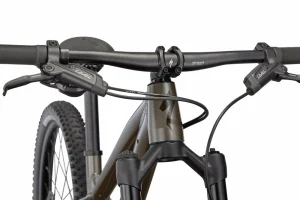 Riprock Expert 24<Specialized Clearance