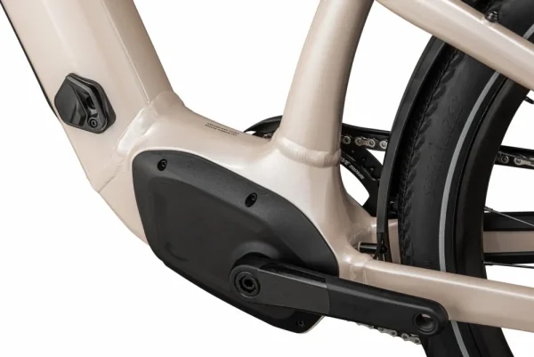 Turbo Como 4.0<Specialized Hot